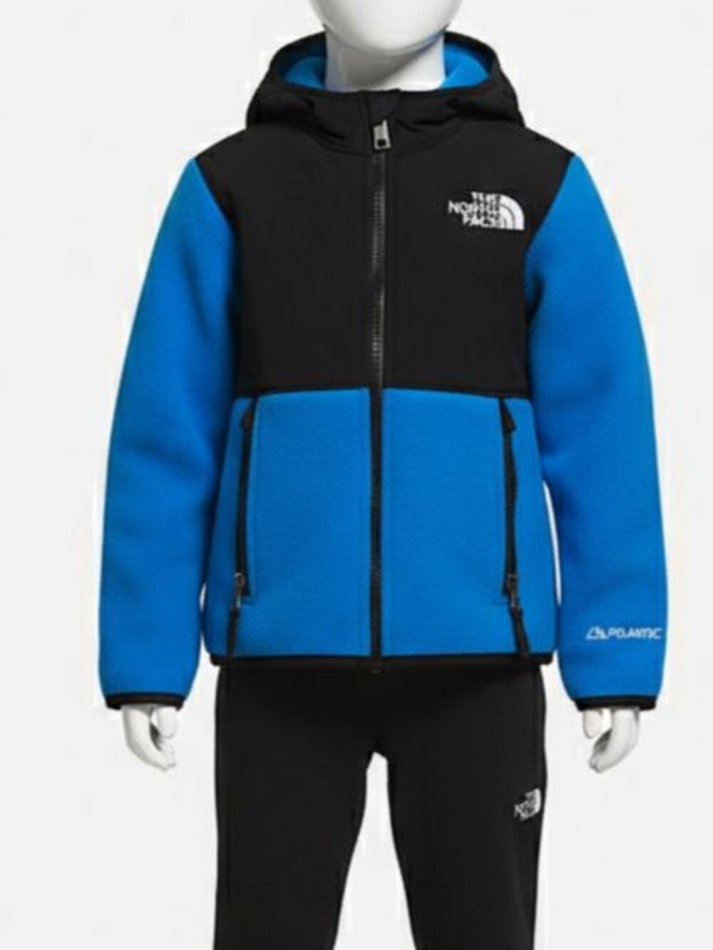 The North Face Baby Unisex Blue Denali Jacket Size 3
